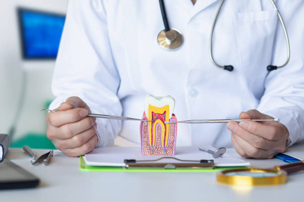 Best Emergency Treatment for Dental Infections or Abscesses in Mayfield, OH
